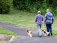 People walking dogs on Kane Road Park path