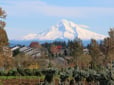 View of Mt. Hood and houses from Gresham