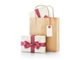 Paper holiday gift bag and package with bow. 