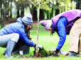 Friends of Trees volunteers planting trees on Arbor Day