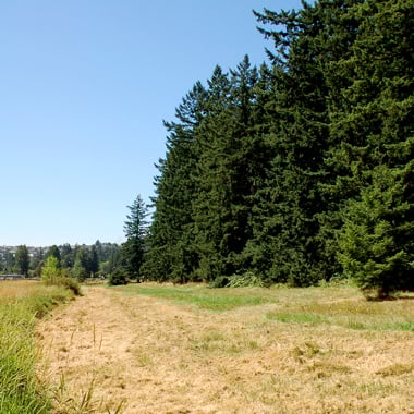 Southwest Community Park