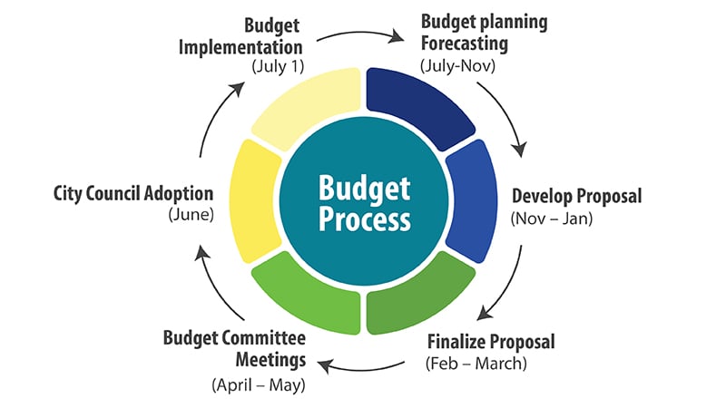 budget process graphic