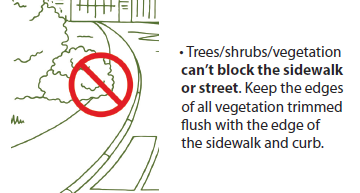 Picture that shows a tree encroaching on a sidewalk